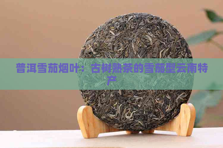 普洱雪茄烟叶：古树熟茶的雪茄型云南特产