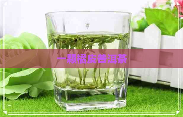 一颗橘皮普洱茶