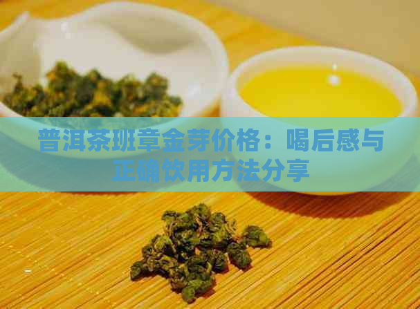 普洱茶班章金芽价格：喝后感与正确饮用方法分享