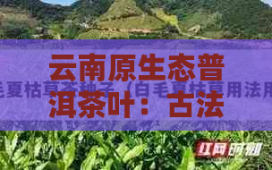 云南原生态普洱茶叶：古法特制，醇厚回的秘密