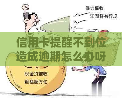 信用卡提醒不到位造成逾期怎么办呀？如何投诉和处理？