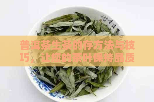 普洱茶生茶的存方法与技巧，让您的茶叶保持品质和口感