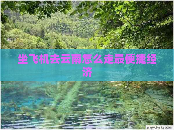 坐飞机去云南怎么走最便捷经济