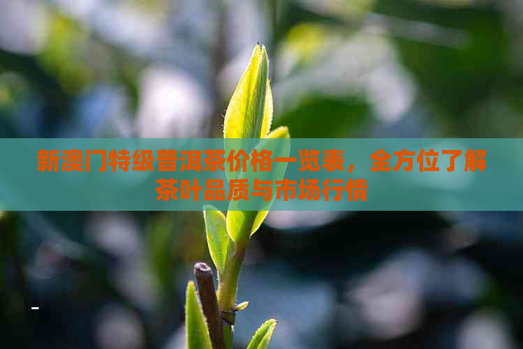 新特级普洱茶价格一览表，全方位了解茶叶品质与市场行情