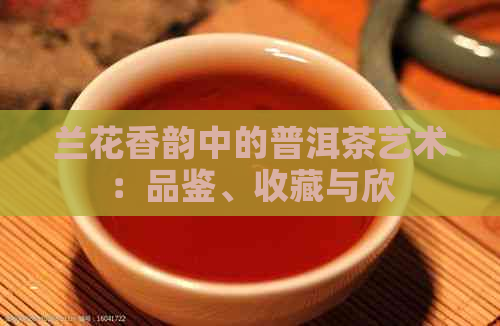 兰花香韵中的普洱茶艺术：品鉴、收藏与欣