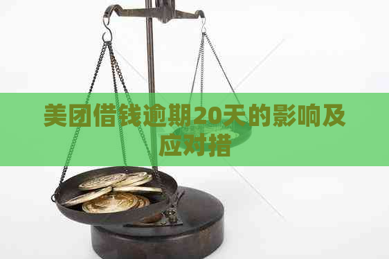 美团借钱逾期20天的影响及应对措