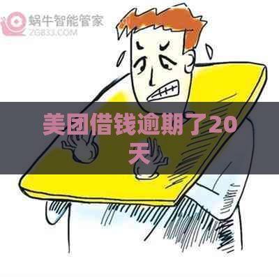 美团借钱逾期了20天