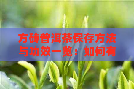 方砖普洱茶保存方法与功效一览：如何有效保存及享受其独特价值