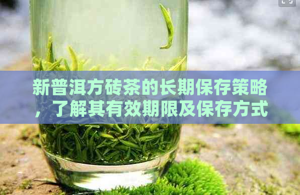 新普洱方砖茶的长期保存策略，了解其有效期限及保存方式