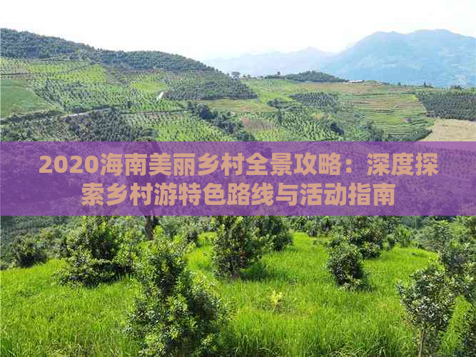 2020海南美丽乡村全景攻略：深度探索乡村游特色路线与活动指南