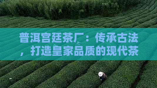 普洱宫廷茶厂：传承古法，打造皇家品质的现代茶艺瑰宝