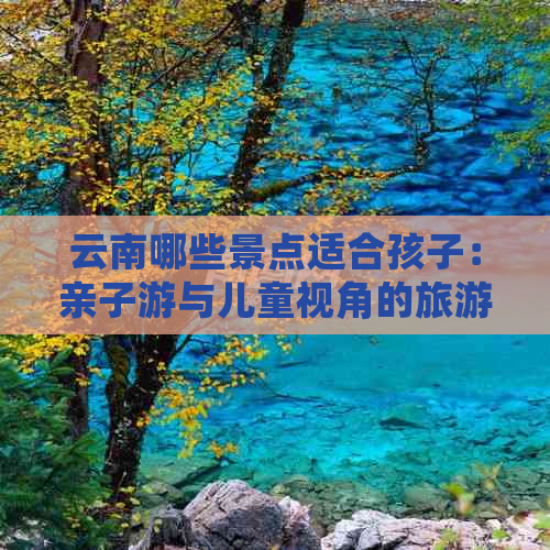 云南哪些景点适合孩子：亲子游与儿童视角的旅游指南