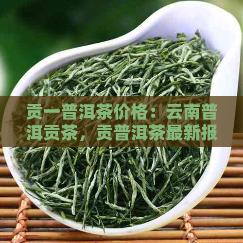 贡一普洱茶价格：云南普洱贡茶，贡普洱茶最新报价