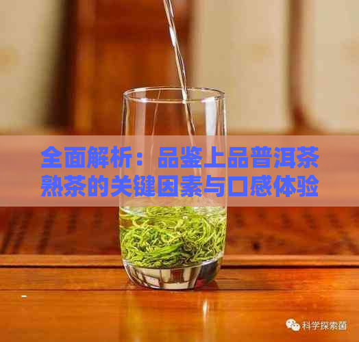 全面解析：品鉴上品普洱茶熟茶的关键因素与口感体验