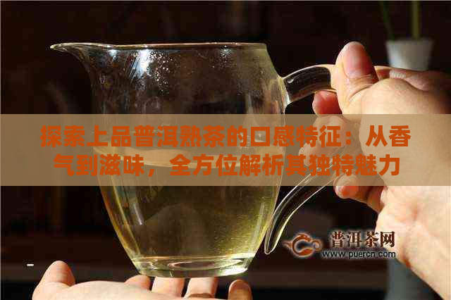 探索上品普洱熟茶的口感特征：从香气到滋味，全方位解析其独特魅力