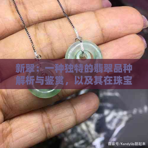 新翠：一种独特的翡翠品种解析与鉴赏，以及其在珠宝行业中的价值和影响