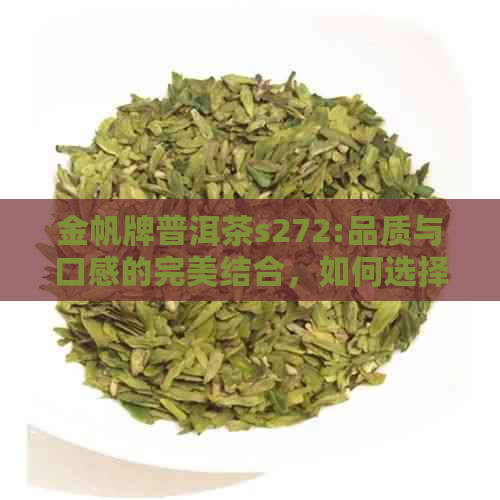 金帆牌普洱茶s272:品质与口感的完美结合，如何选择和品饮？