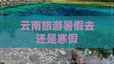 云南旅游暑假去还是寒假