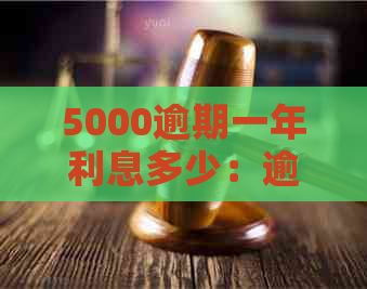 5000逾期一年利息多少：逾期一年5000元的还款总额与利息计算