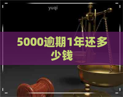 5000逾期1年还多少钱