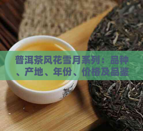 普洱茶风花雪月系列：品种、产地、年份、价格及品鉴全方位解析