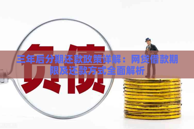 三年后分期还款政策详解：网贷借款期限及还款方式全面解析