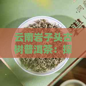 云南岩子头古树普洱茶：探寻千年古树的神秘魅力与独特风味