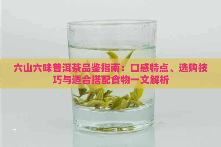 六山六味普洱茶品鉴指南：口感特点、选购技巧与适合搭配食物一文解析