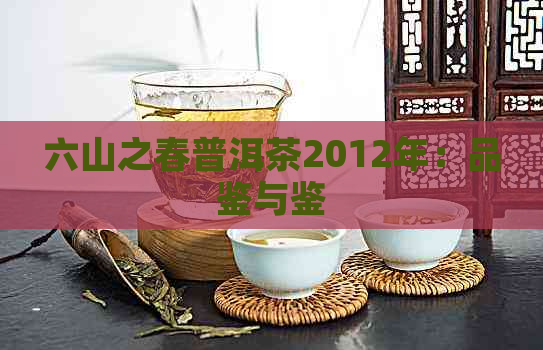 六山之春普洱茶2012年：品鉴与鉴