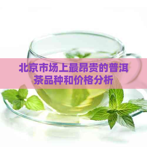 北京市场上最昂贵的普洱茶品种和价格分析