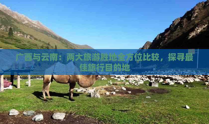 广西与云南：两大旅游胜地全方位比较，探寻更佳旅行目的地