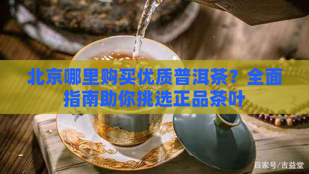 北京哪里购买优质普洱茶？全面指南助你挑选正品茶叶