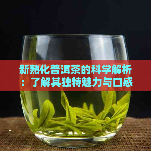 新熟化普洱茶的科学解析：了解其独特魅力与口感