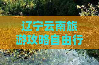 辽宁云南旅游攻略自由行：报价、路线、团，更佳行程全解