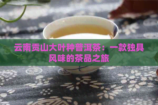 云南贡山大叶种普洱茶：一款独具风味的茶品之旅