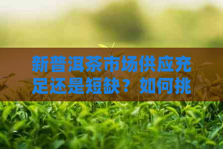 新普洱茶市场供应充足还是短缺？如何挑选优质普洱茶？