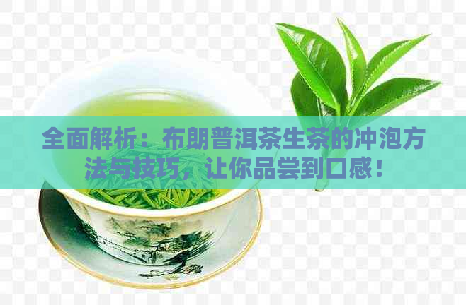 全面解析：布朗普洱茶生茶的冲泡方法与技巧，让你品尝到口感！