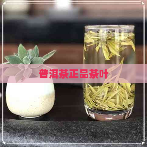 普洱茶正品茶叶