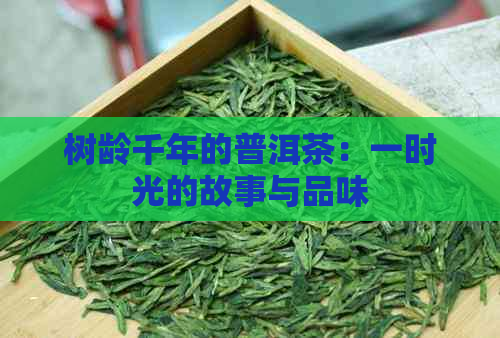 树龄千年的普洱茶：一时光的故事与品味