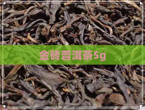 金砖普洱茶5g