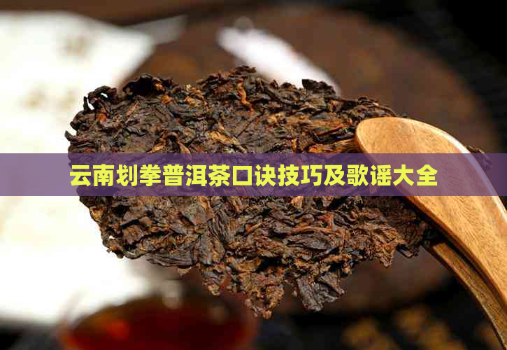 云南划拳普洱茶口诀技巧及歌谣大全