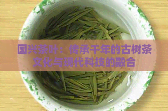 国兴茶叶：传承千年的古树茶文化与现代科技的融合