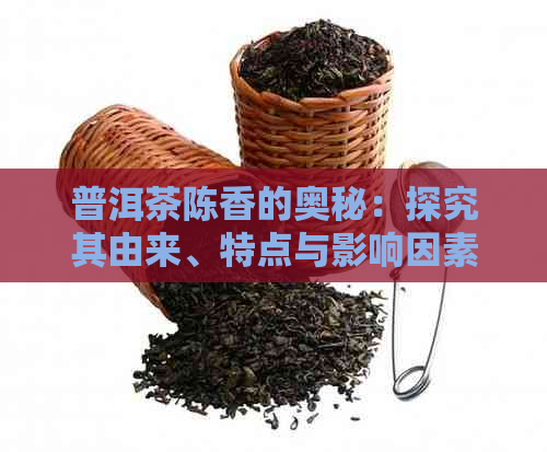 普洱茶陈香的奥秘：探究其由来、特点与影响因素