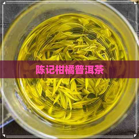 陈记柑橘普洱茶