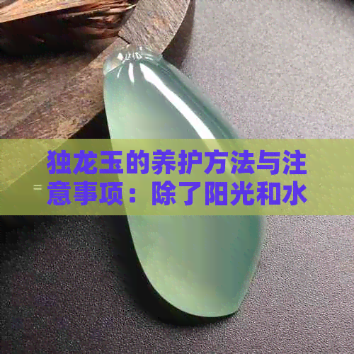 独龙玉的养护方法与注意事项：除了阳光和水分，它还怕什么？