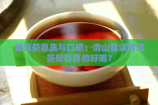 普洱茶品质与口感：清山茗颂普洱茶是否真的好喝？