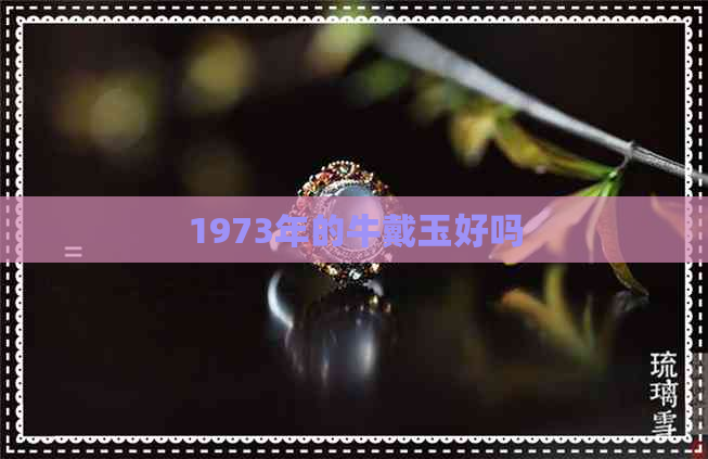 1973年的牛戴玉好吗