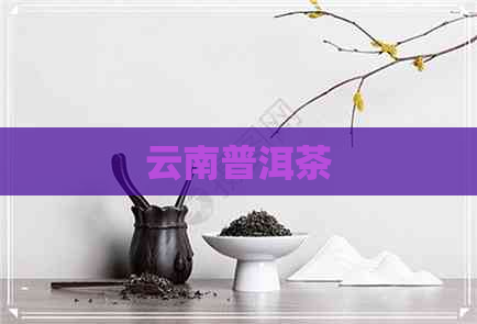 云南普洱茶