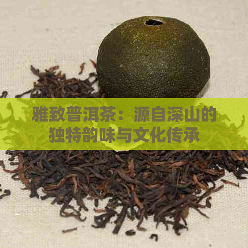 雅致普洱茶：源自深山的独特韵味与文化传承