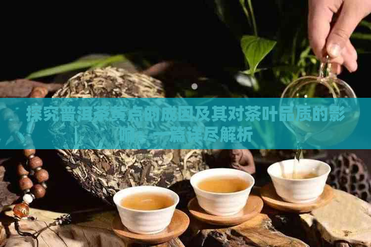 探究普洱茶黄点的成因及其对茶叶品质的影响：一篇详尽解析